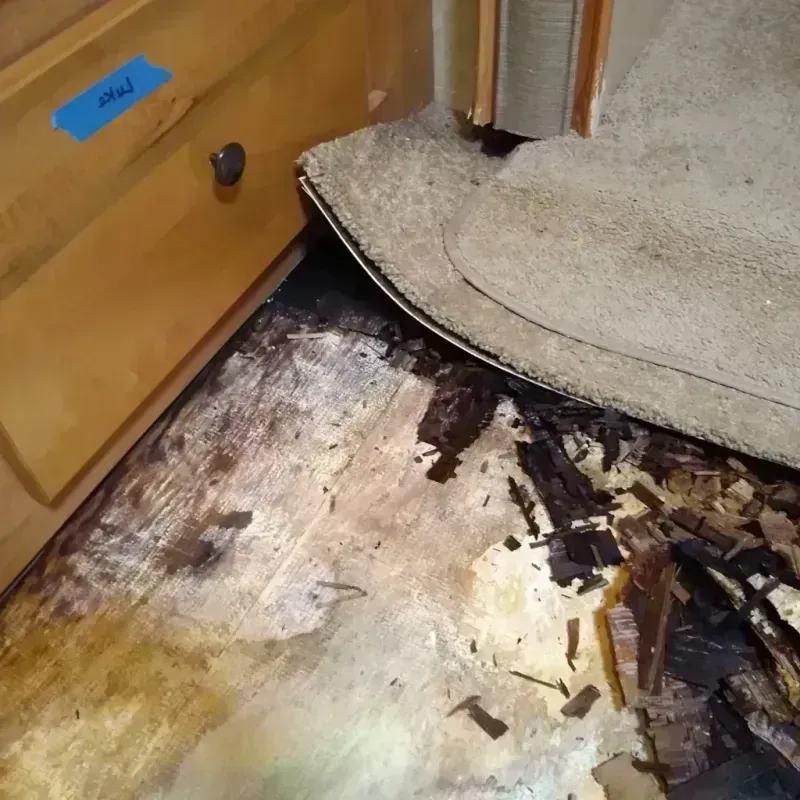 Best Wood Floor Water Damage Service in Hoyt Lakes, MN